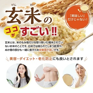 SA1033　【玄米パックご飯】特別栽培米ひとめぼれ、ミルキークイーン『氷河米』 計12パック(6パック×2種) AG