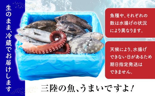 【隔月3回定期便 / 下処理しない】 鮮魚セット 厳選 三陸海の恵み詰め合わせ(1回あたりのお届け目安：4～5人用) 【 無添加 鮮魚 三陸産 国産 天然 海鮮 お刺身 魚介 魚介類 詰め合わせ セット お手軽 】岩手 陸前高田市 産地直送 RT2587