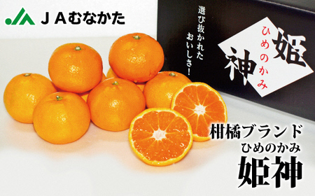 急速冷凍！冷凍みかん JAむなかた柑橘ブランド｢姫神｣2kg 甘くておいしいみかん【JAほたるの里】_HA0269