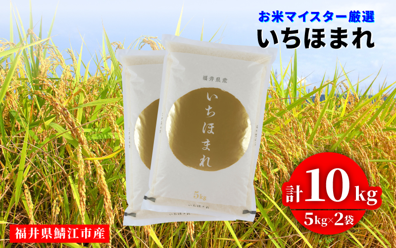 令和7年産 いちほまれ 10kg（5kg × 2袋）×1回