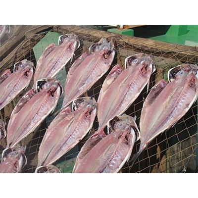 ふるさと納税 熱海市 【熱海ブランド】　天日干し　真あじ干物　15枚 |  | 01