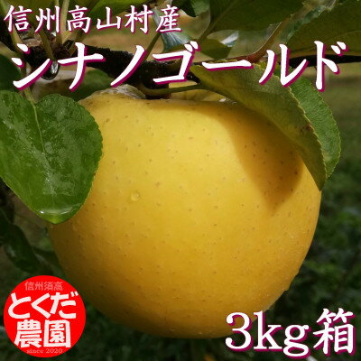 【ふるさと納税】高山村産りんご(シナノゴールド)3kg箱【1588230】