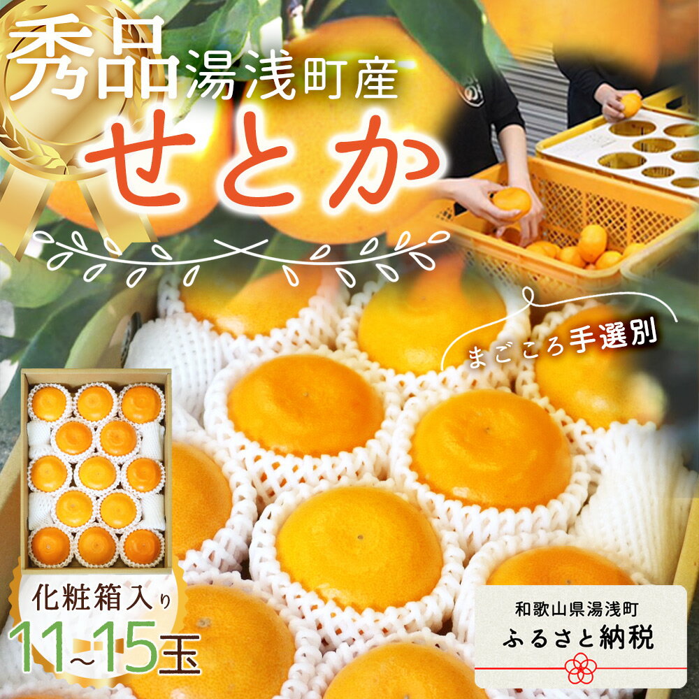 【ふるさと納税】【2026年先行予約】湯浅町産 せとか 11～15玉 (M～2Lサイズ混合) 化粧箱入り 秀品 【まごころ手選別】 【ミカン 蜜柑 春みかん 柑橘 和歌山 有田】