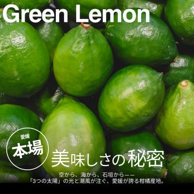 ふるさと納税 八幡浜市 【美味しさそのまま】訳ありグリーンレモン 5kg 愛媛県産 防腐剤・ワックス不使用【99-32】 |  | 01