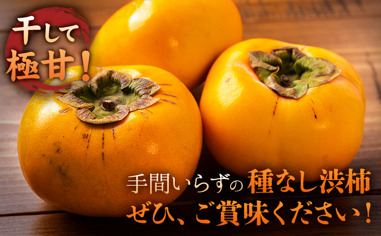 柿 かき あんぽ柿用 T軸枝無 種なし 生渋柿 14.5~15kg ふるさと農園《10月中旬-11月上旬頃より発送予定(土日祝除く)》 和歌山県 日高町 贈り物 ギフト