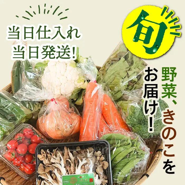 【6回奇数月】野菜定期便 11品目 野菜セット [SCZ005] 