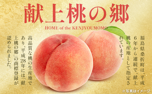 もも【あかつき・2027年産先行予約】特秀約3kg「献上桃の郷ブランド品」桑折町産　JAふくしま未来　桃 ／ もも モモ 果物 フルーツ 旬 甘い 甘み ジューシー 果肉 果汁 新鮮 フレッシュ デザ