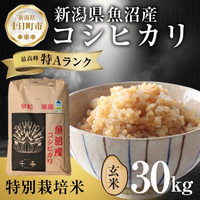 ふるさと納税 十日町市 魚沼産 コシヒカリ 特別栽培米 玄米 30kg 産地直送 新潟県十日町市