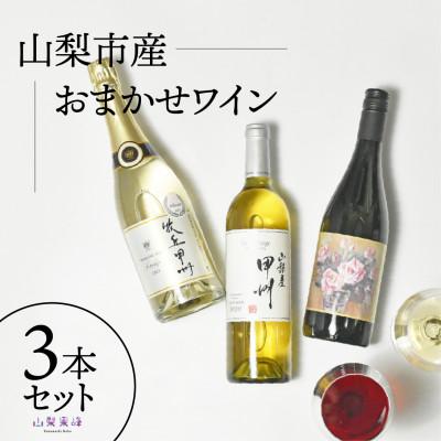 ふるさと納税 山梨市 山梨市産推奨ワイン　3本セット