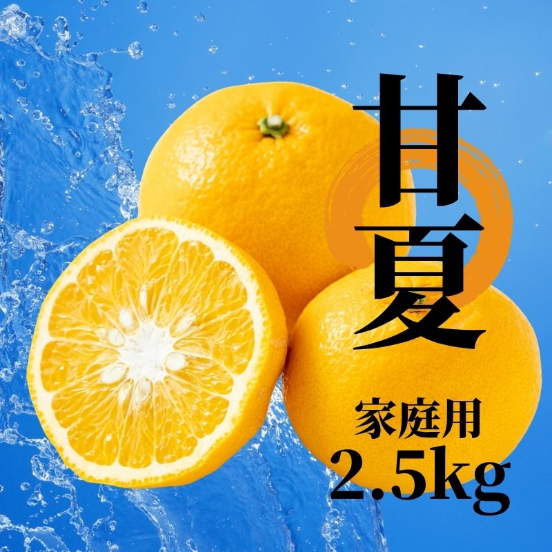 【2027年2月下旬頃から順次発送】甘夏 家庭用  約2.5kg | 愛媛 愛媛県産みかん 蜜柑 ミカン mikan みかん あまなつ  柑橘 お取り寄せ グルメ 期間限定 数量限定 酸味 果物 旬  愛媛県 松山市