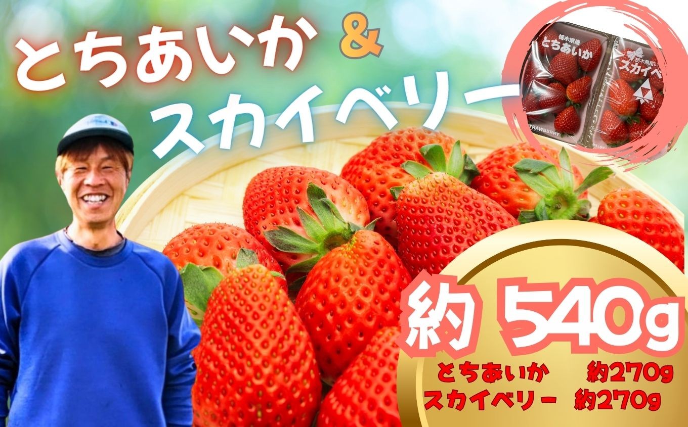
                  【2027年先行予約】とちあいか・スカイベリー 食べ比べ 約540g | いちご イチゴ 
                