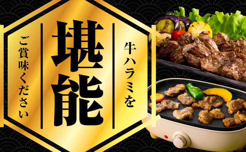 【満足牛ハラミ】甘辛タレ漬け 合計2.5kg 【味付け ハラミ 小分け 焼くだけ 簡単調理 BBQ 牛肉 250g×10P】