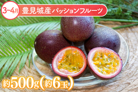 人気！沖縄フルーツ定期便（年6回）【マンゴー パッションフルーツ 定期便 果物 人気 おすすめ フルーツ くだもの フルーツ 定期】