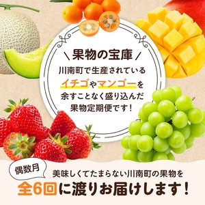  デラックス 定期便 【偶数月】【 川南町産 きんかん いちご 完熟 マンゴー ぶどう シャイン マスカット メロン  全6回定期便 】