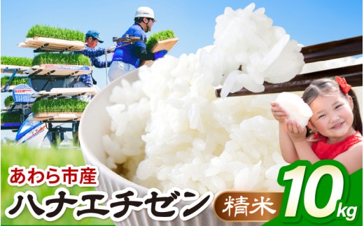 【先行予約】【令和8年産】ハナエチゼン 精米 10kg（農事組合法人イーノなかのはま100） / 北陸 福井県産 あわら市 ブランド米 白米 お米 コメ ※2026年10月より順次発送予定 [aw139-a002]