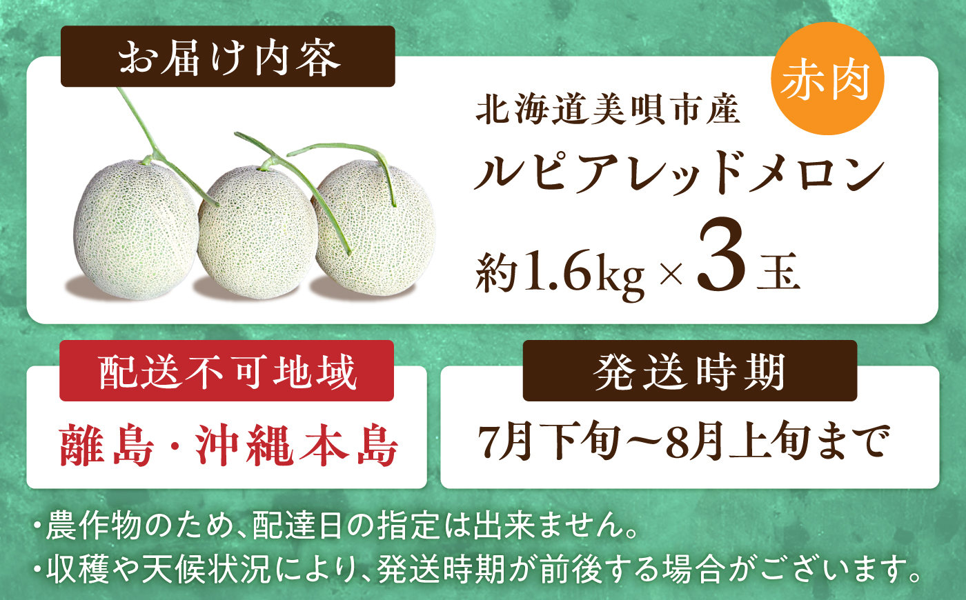 【2026年7月～順次発送】 赤肉 メロン ルピアレッド 3玉 | 赤肉メロン めろん 先行予約 北海道 メロン赤肉 | JAみねのぶ [BOAG008]