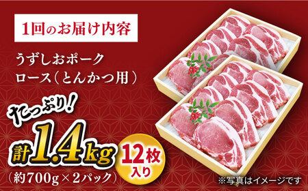 【訳あり】【月1回1.4kg×6回定期便】長崎うずしおポーク ロース（とんかつ用）計8.4kg＜スーパーウエスト＞ [CAG105]