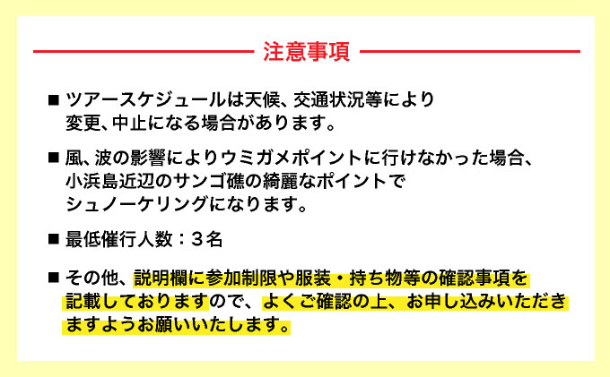【小浜島発】幻の島上陸＋ウミガメとシュノーケリング♪　無料『マーメイド体験、シャワー、お食事、小浜観光』【 旅行 体験チケット観光 大自然 体験ツアー 観光 沖縄 アクティビティ シュノーケリング 】