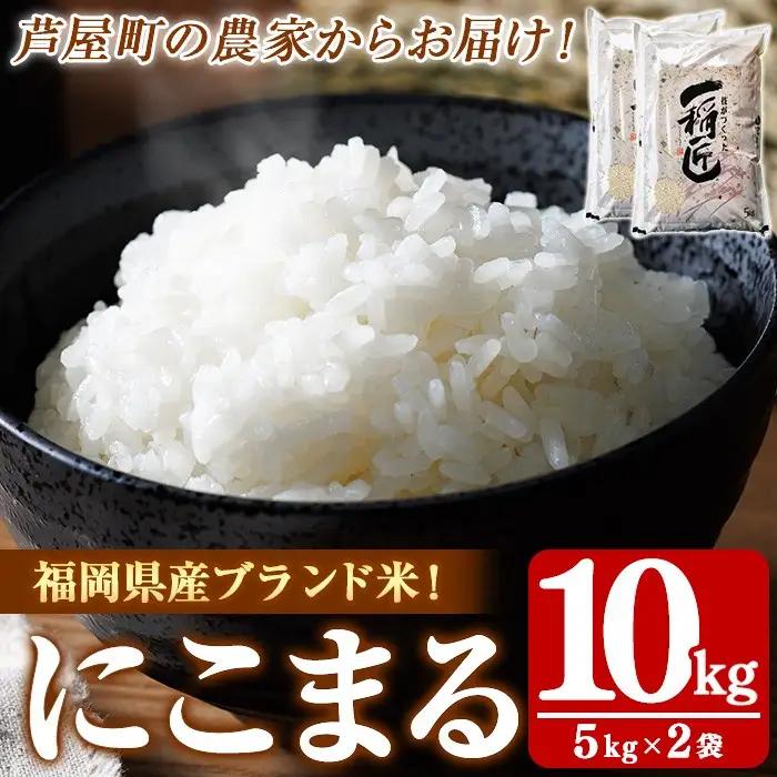 ≪令和8年産≫福岡県産 にこまる 白米(計10kg・5kg×2袋) 白米 米 お米 おこめ ごはん にこまる ご飯 常温 福岡県産 ブランド米 常温 常温保存 as32-001