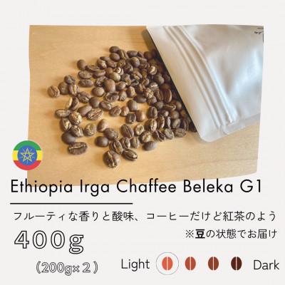 ふるさと納税 筑後市 エチオピア　イルカチャフィベレカG1　ウォッシュド(浅煎り)200g×2