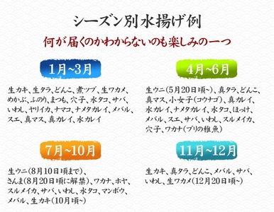 【10ヶ月定期便/下処理済】お試し 三陸海の恵み 詰め合わせ (1回あたりのお届け目安：1～2人用)【 鮮魚セット 鮮魚 三陸産 海鮮 新鮮 お刺身 産地直送 おさかな お魚 旬 人気 お手軽 】
