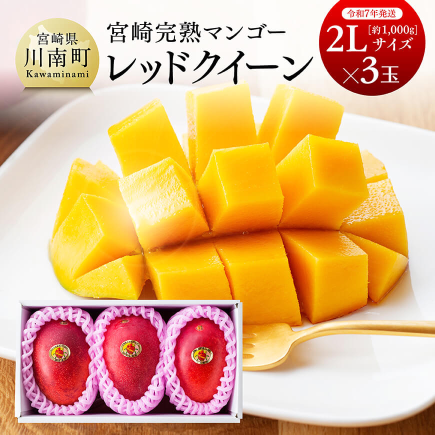 【ふるさと納税】 【令和7年発送】宮崎県産完熟マンゴー 「レッドクイーン」2L×3玉 - 【先行予約 果物 フルーツ マンゴー 宮崎県産 完熟マンゴー みやざきマンゴー 数量限定 期間限定】D03209