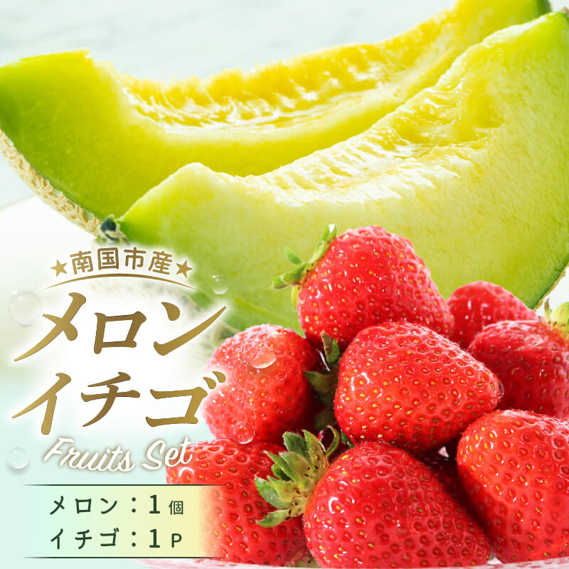 【ふるさと納税】 【先行予約】高知県 南国市産／メロンといちごセット（2026年1月～発送） | イチゴ マスクメロン フルーツ スイーツ 冷蔵いちご 冷蔵メロン 苺 ストロベリー 果物 デザート 期間限定 旬 おすすめ 大人気 セット