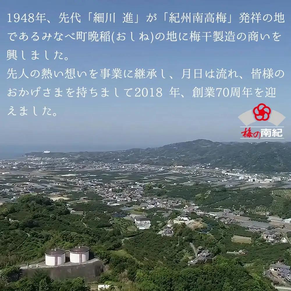 まけん梅(R) はちみつ漬 蜜宝梅 3kg(500g×6) 塩分約5％ 梅干し 紀州南高梅 nankiume003B【nankiume003B】