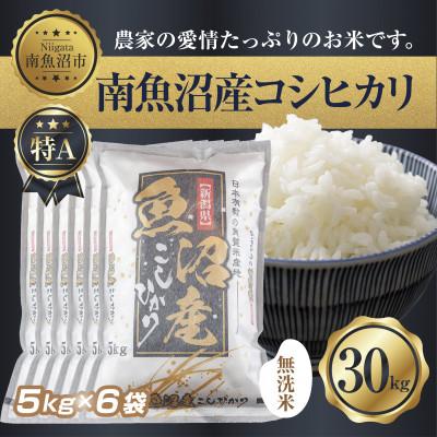 ふるさと納税 南魚沼市 【無洗米】南魚沼産 コシヒカリ 5kg×6 計 30kg(お米の美味しい炊き方ガイド付き)