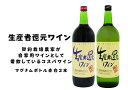 【ふるさと納税】 ワイン 赤ワイン 白ワイン セット 生産者還元 シャトー勝沼 コスパ 1500ml 2本 飲み比べ 国産葡萄 輸入ワイン 甲州 母の日 父の日 記念日 ギフト 家庭用 山梨 (MG) 【B11-470】