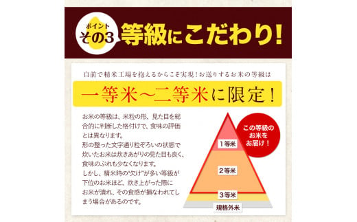 令和5年産 ひのひかり 白米 10kg 《7-14営業日以内に出荷予定(土日祝除く)》 5kg×2袋 熊本県産 米 精米 ひの 御船町---mf_hn5_wx_24_14500_10kg_h---