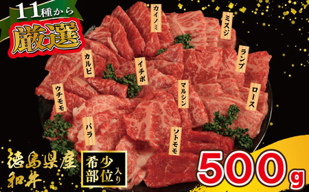 焼肉 セット 牛肉 おまかせ 5種 国産和牛 ロース バラ 外もも 内もも マルシン カイノミ イチボ ランプ カルビ ミスジ トンビ 徳島県 吉野川市