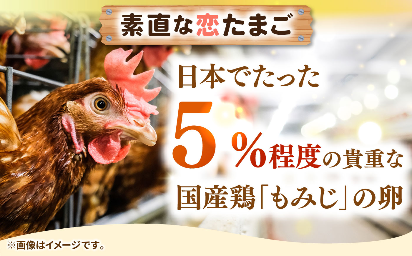 特選 素直な恋たまご 60個 《壱岐市》【しまのたまご屋さん】 [JAP001] 卵 たまご 鶏卵 玉子 ギフト 国産 もみじ 卵かけご飯 たまごかけご飯 のし プレゼント ギフト 13000 130