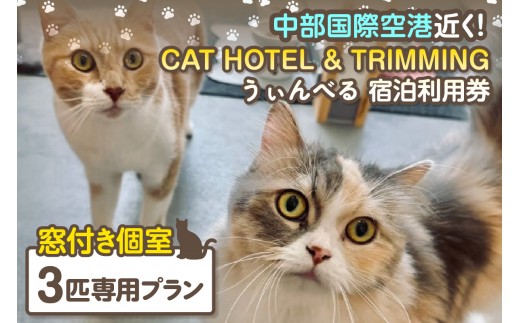 CAT HOTEL & TRIMMING　うぃんべる　宿泊利用券　3匹専用プラン│ペットホテル ペットと泊まれる 宿泊券 猫 キャット 猫ホテル 見守りサービス 猫専用ルーム 窓付き個室 見守りカメラ 1泊2日ノンゲージ トリミング 家族旅行 愛知県 常滑市