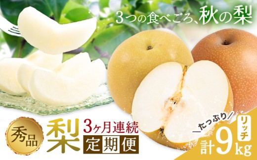 秀品 3ヶ月連続 梨の定期便 リッチ 計9kg 日本フルーツ株式会社《8月上旬-10月末頃出荷》熊本県 荒尾市  梨 なし 豊水梨 秋月梨 新高梨 果物 フルーツ 定期便