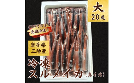 【船上箱詰で急速冷凍】冷凍スルメイカ 大サイズ 20尾入 鮮度そのまま！ いか イカ