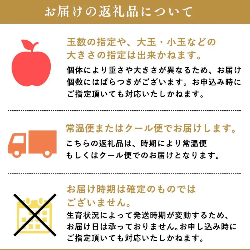 りんご 【2027年5月発送開始】12ヶ月定期便 約5kg 特選 りんご