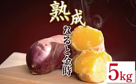 さつまいも 5kg SSサイズ なると金時 さつまいも