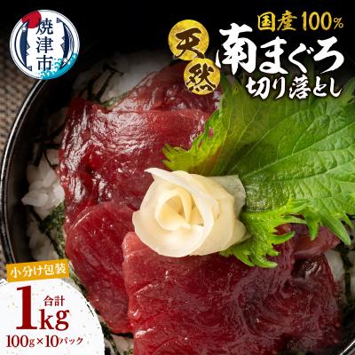 ふるさと納税 焼津市 国産ミナミマグロ 一口サイズ 刺身 赤身 海鮮丼 焼津 海の極(100g ×10)(a16-199)