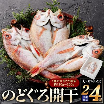 ふるさと納税 境港市 のどぐろ開干(大-中サイズ/2尾-4尾)