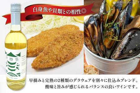 ワイン 南三陸ワイナリー デラウェア 白 辛口 750ml ×1本 [南三陸さんさんマルシェ 宮城県 南三陸町 m304amh600108]