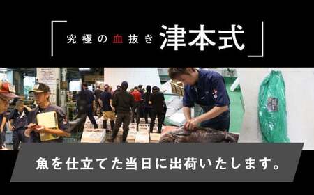 《津本式》へべすぶり1尾　～津本光弘本人仕立て～ フルーツ魚 お刺身 焼き魚