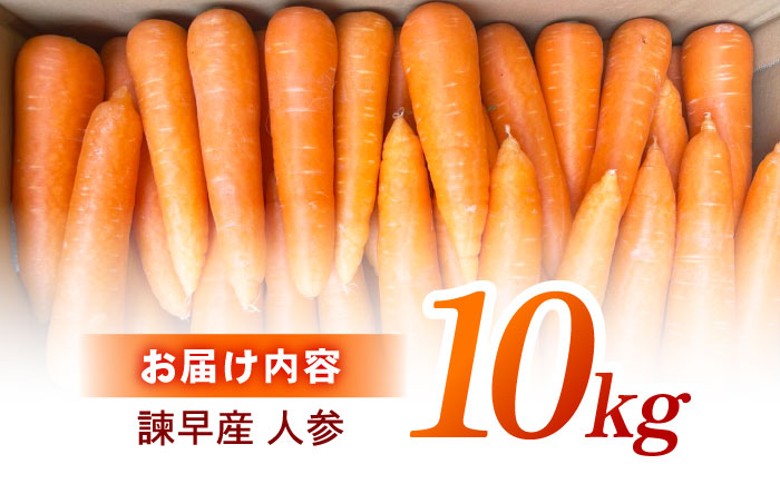 諫早産にんじん 10kg / にんじん ニンジン 人参 キャロット きゃろっと 野菜 やさい 10kg / 諫早市 / 松尾農園 [AHAY030]