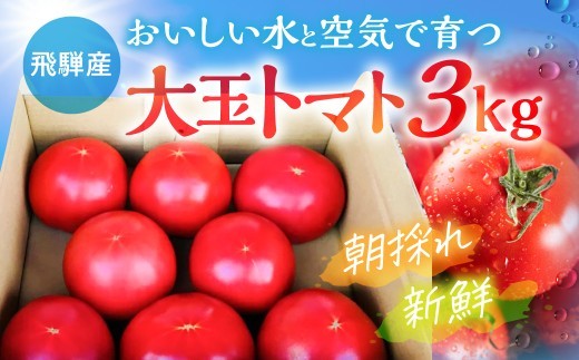 
                  ＜8月から寄附額改定＞《先行予約》令和8年産 トマト 朝採り発送！ 飛騨古川 池田農園 おいしい 水 と空気で育った大玉トマト 3kg フレッシュ とまと 新鮮 野菜 サラダ トマトジュース 料理 3キロ 飛騨市 12000円
                