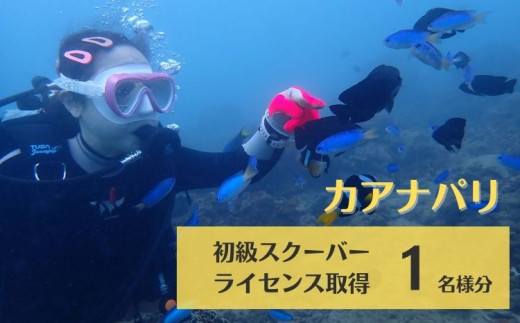 
海陽町の海で初級スクーバダイビングライセンス取得！ ダイビング ライセンス 取得 チケット カアナパリ 国際ライセンス BSAC 体験 スクーバダイビング スキューバダイビング 四国 徳島 徳島県 海陽 海陽町
