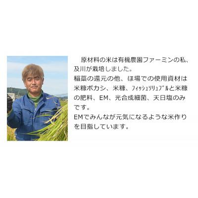 ふるさと納税 登米市 「ササニシキ」発芽玄米と黒米を炊いたごはん150g×16パック |  | 03