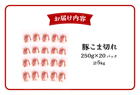 宮崎県産 豚こま切れ (250g×20パック) 合計5kg