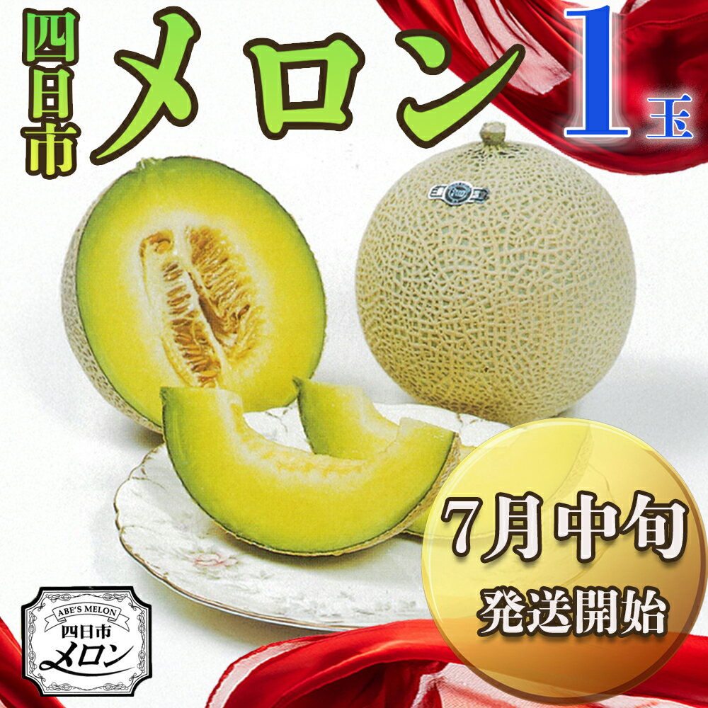 【ふるさと納税】【先行予約】阿部夫妻が愛情をこめたマスクメロン（1個入）【7月中旬発送開始】