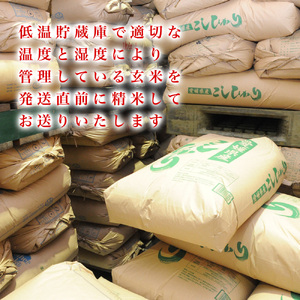 愛媛県産コシヒカリ5kg