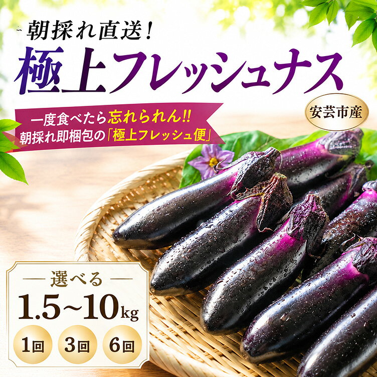 【ふるさと納税】 なす 先行予約 10月中旬発送 選べる1.5kg 3kg 5kg 10kg 3回 6回定期便 約15本 ~100本 朝採れ 農家直送 新鮮 旬 野菜 やさい 茄子 ナス 季節 料理 ごはん 特産品 焼きなす 揚げ浸し nasu 煮びたし カレー なす パスタ たたき こたにん農園 安芸市 高知県